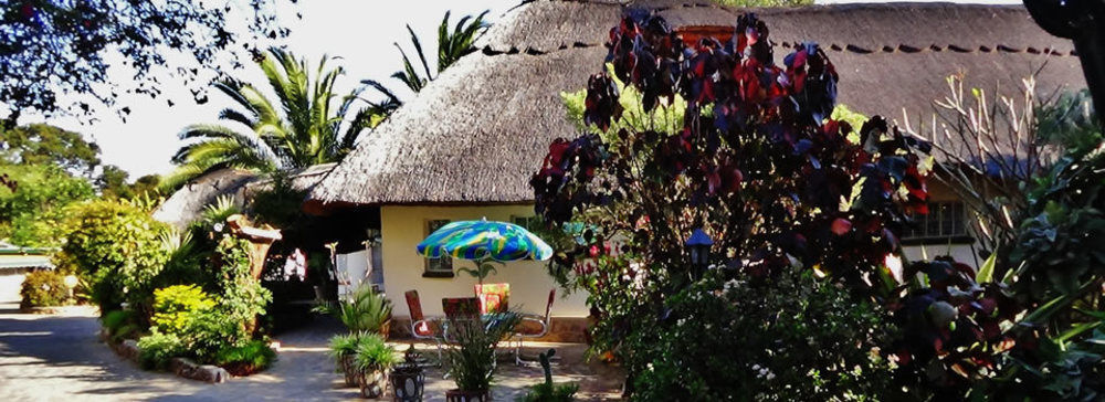 Parrot Lodge Bulawayo Luaran gambar